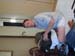 KIF_1240